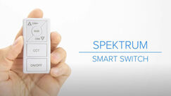 Spektrum Smart Switch